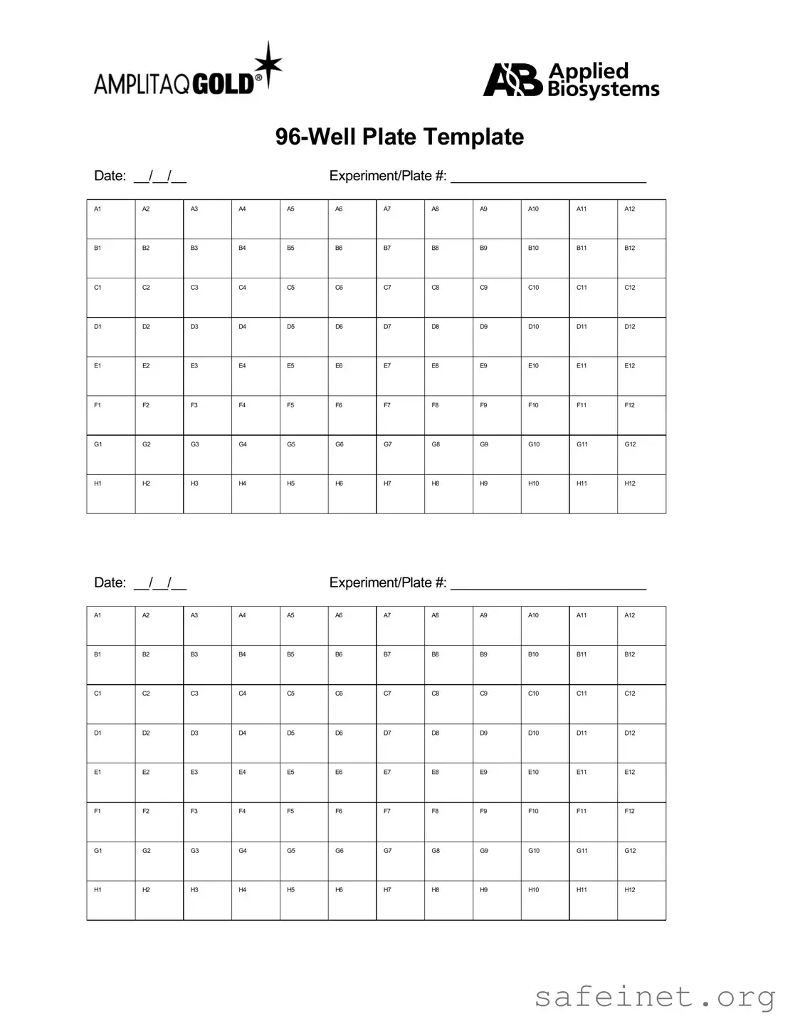 Blank 96 Well Template