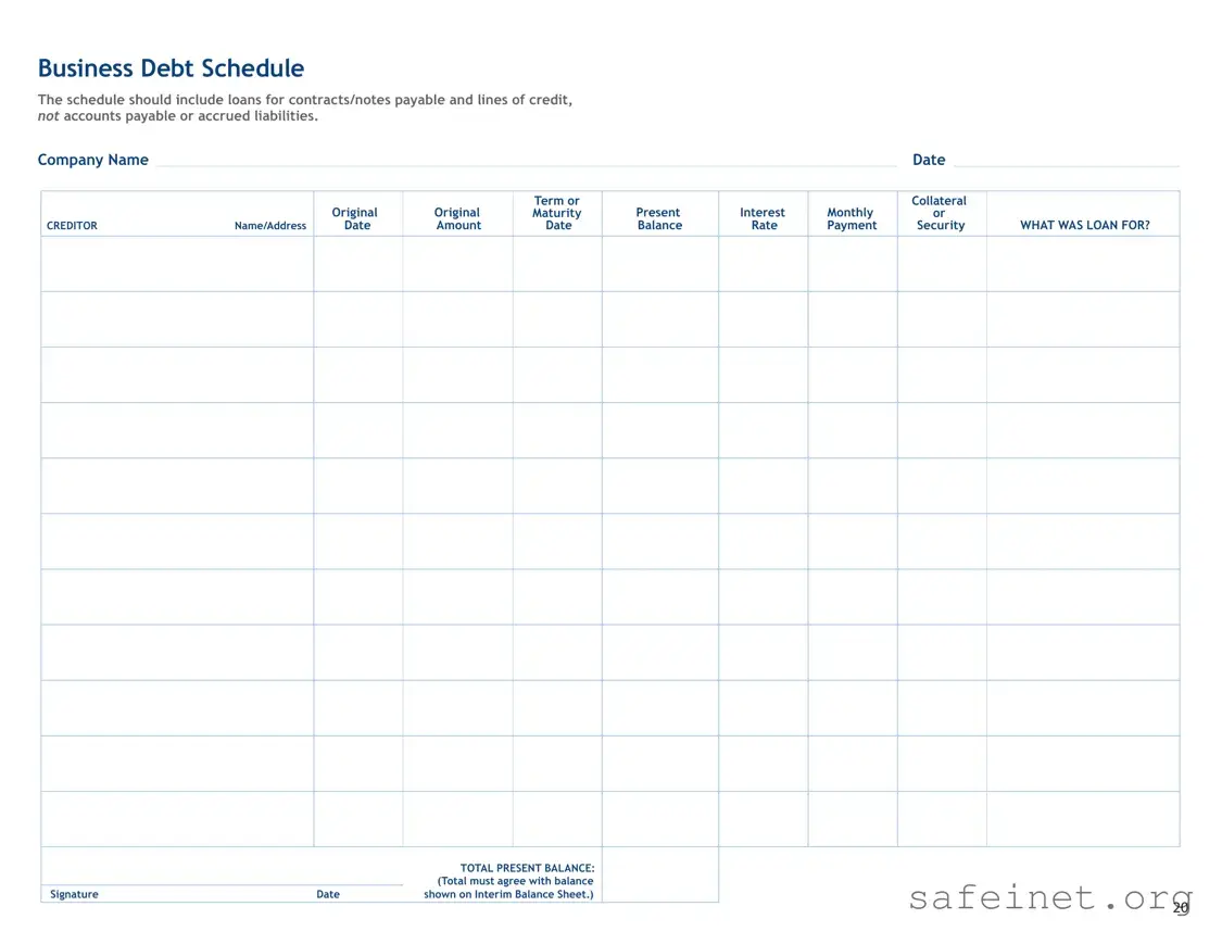 Blank Business Debt Schedule Template