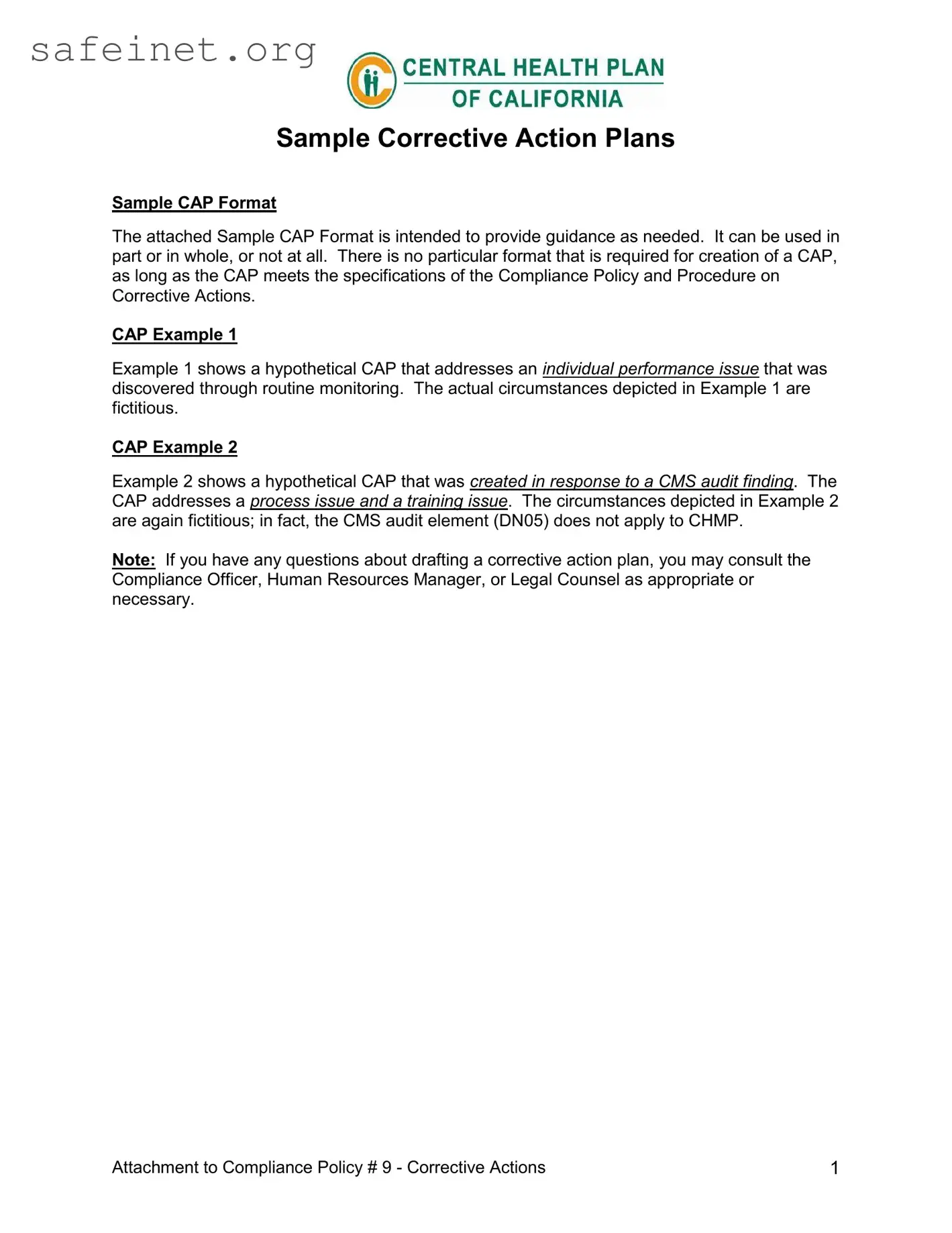 Blank Corrective Action Plan Template
