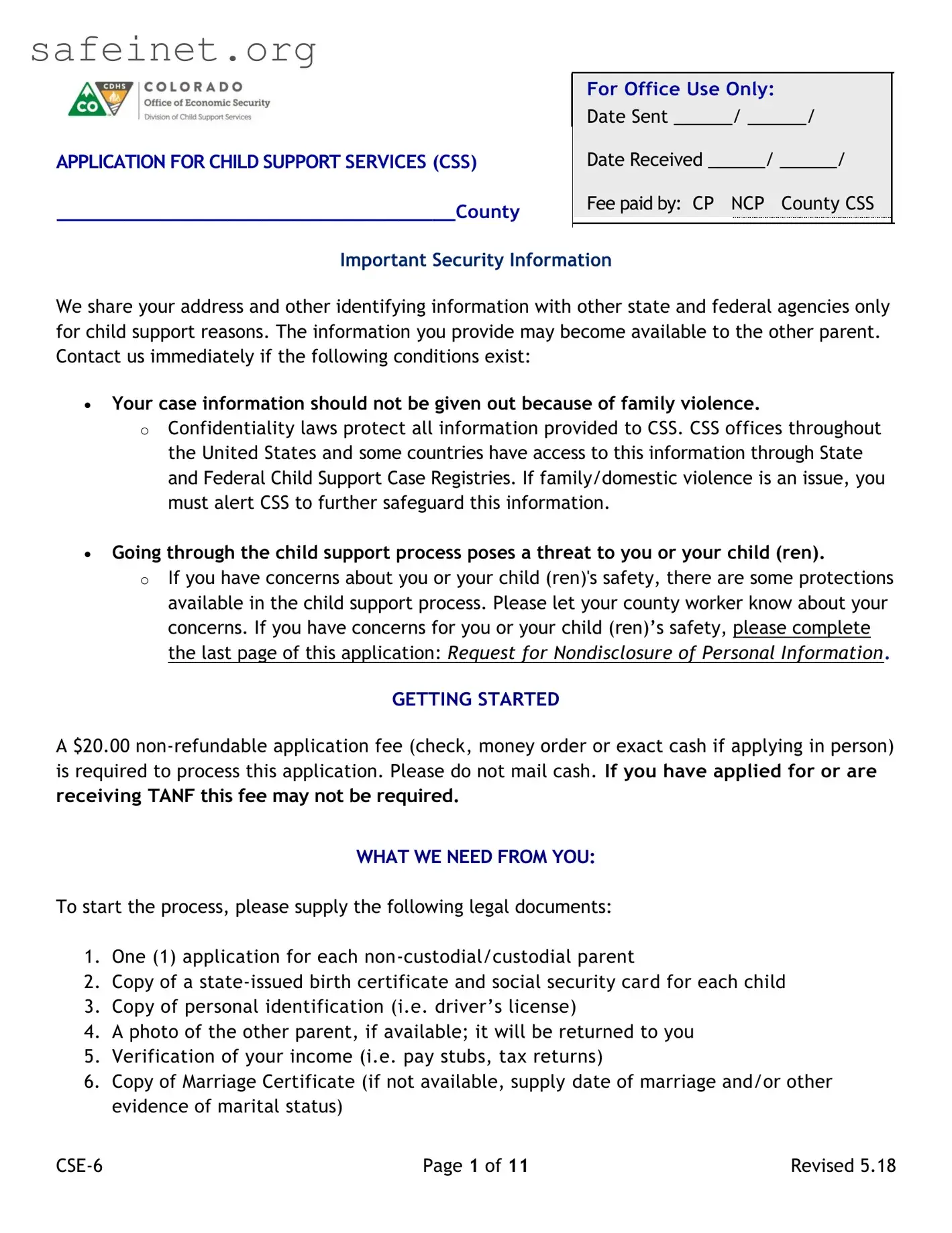 Blank Custodial Party Child Support Application Template