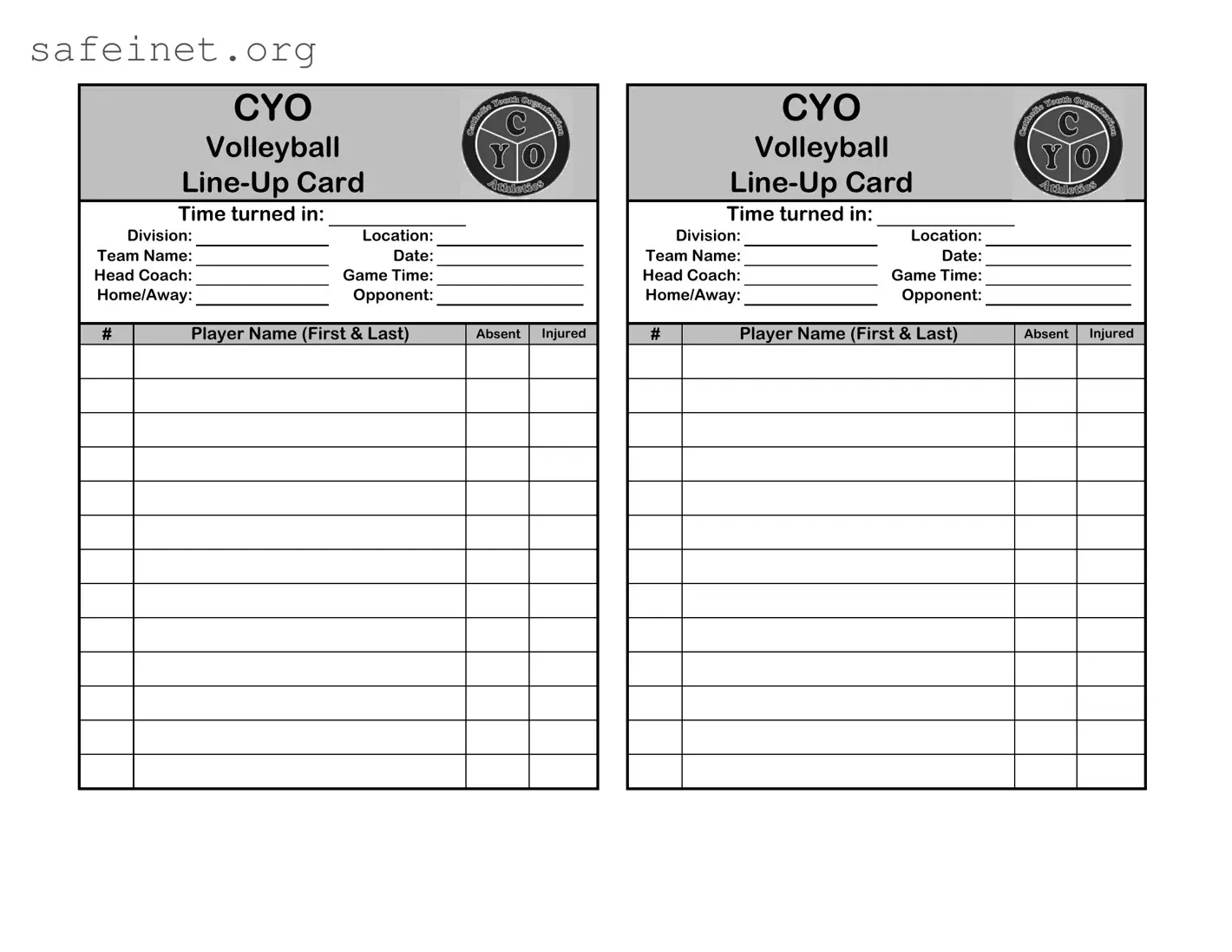 Blank Cyo Volleyball Lineup Sheet Template