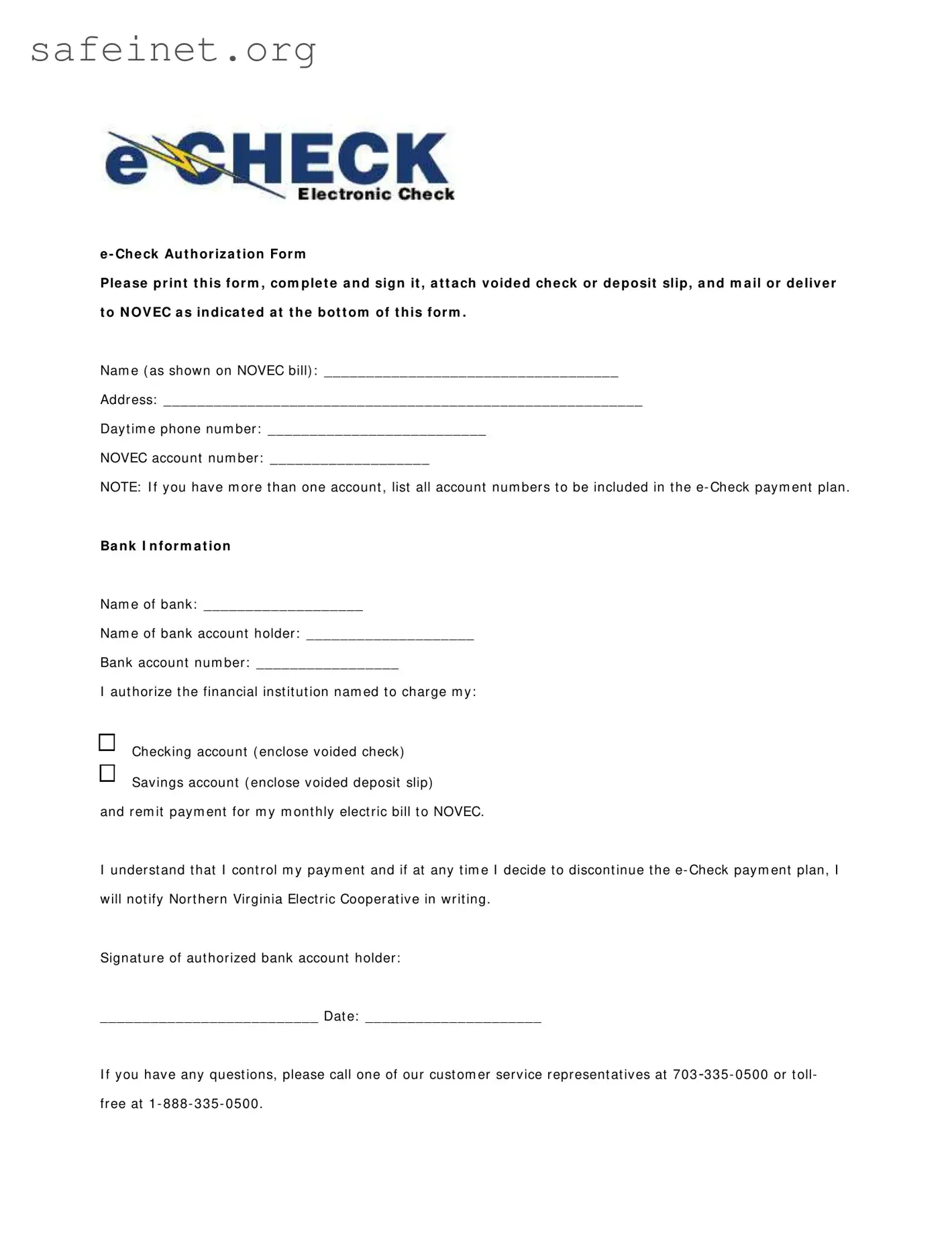 Blank E Check Authorization Template