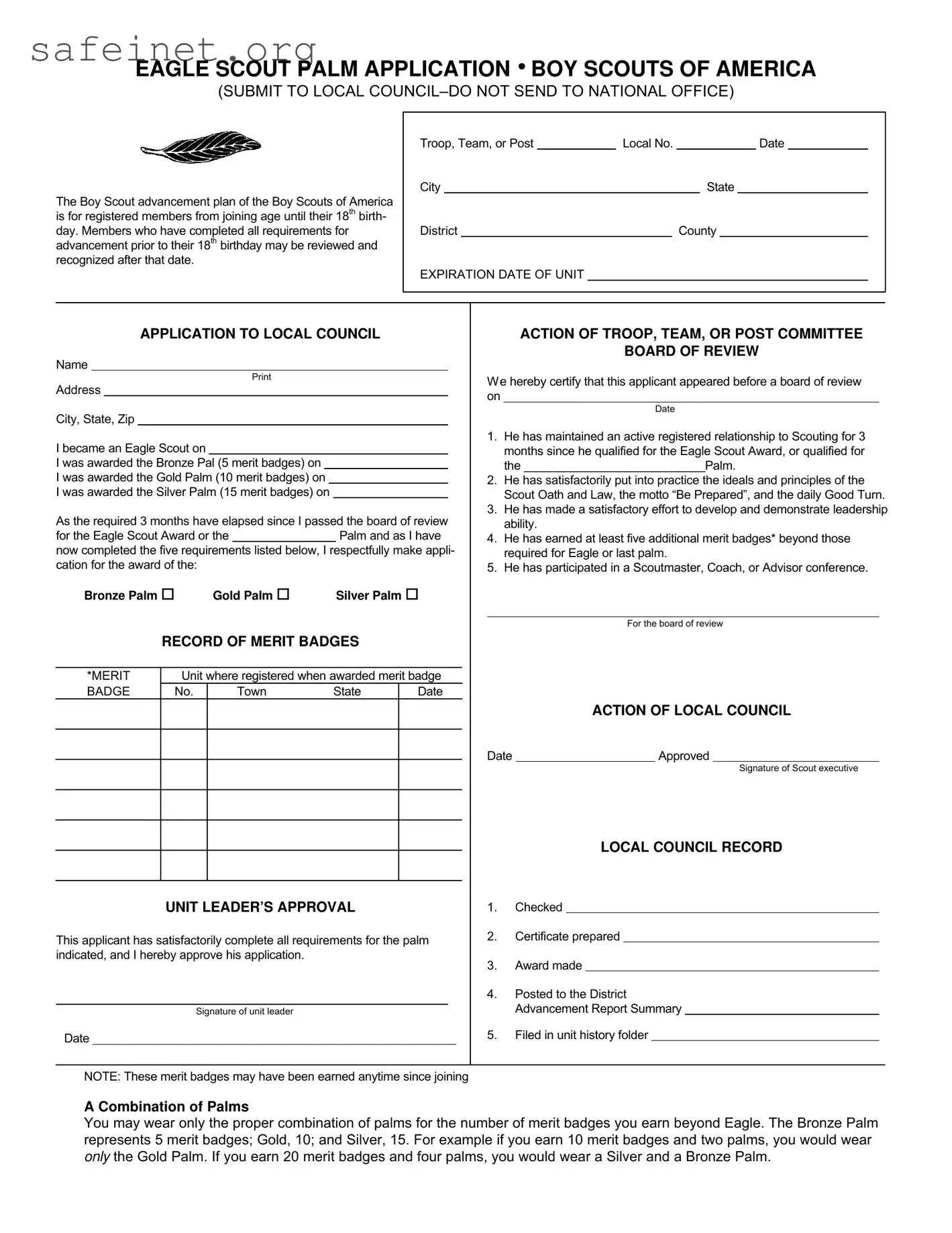 Blank Eagle Scout Palm Application Template