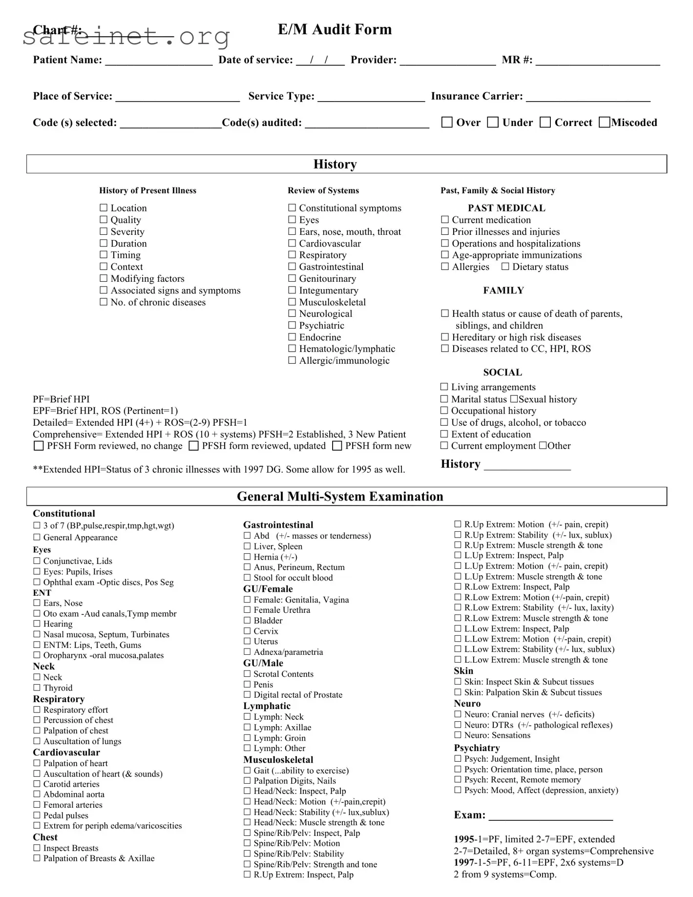 Blank Em Audit Template