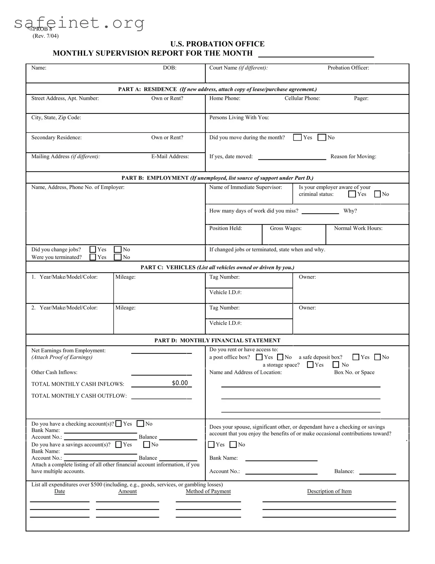 Blank Federal Probation Report Template