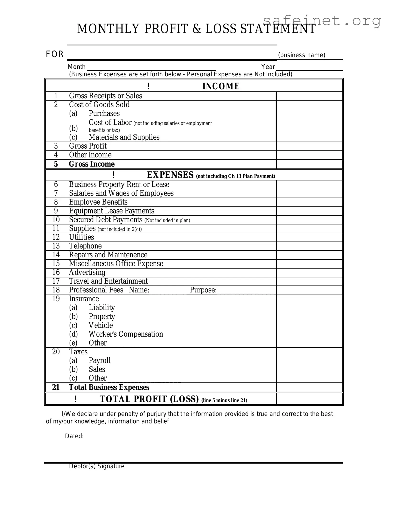 Blank Profit And Loss Template