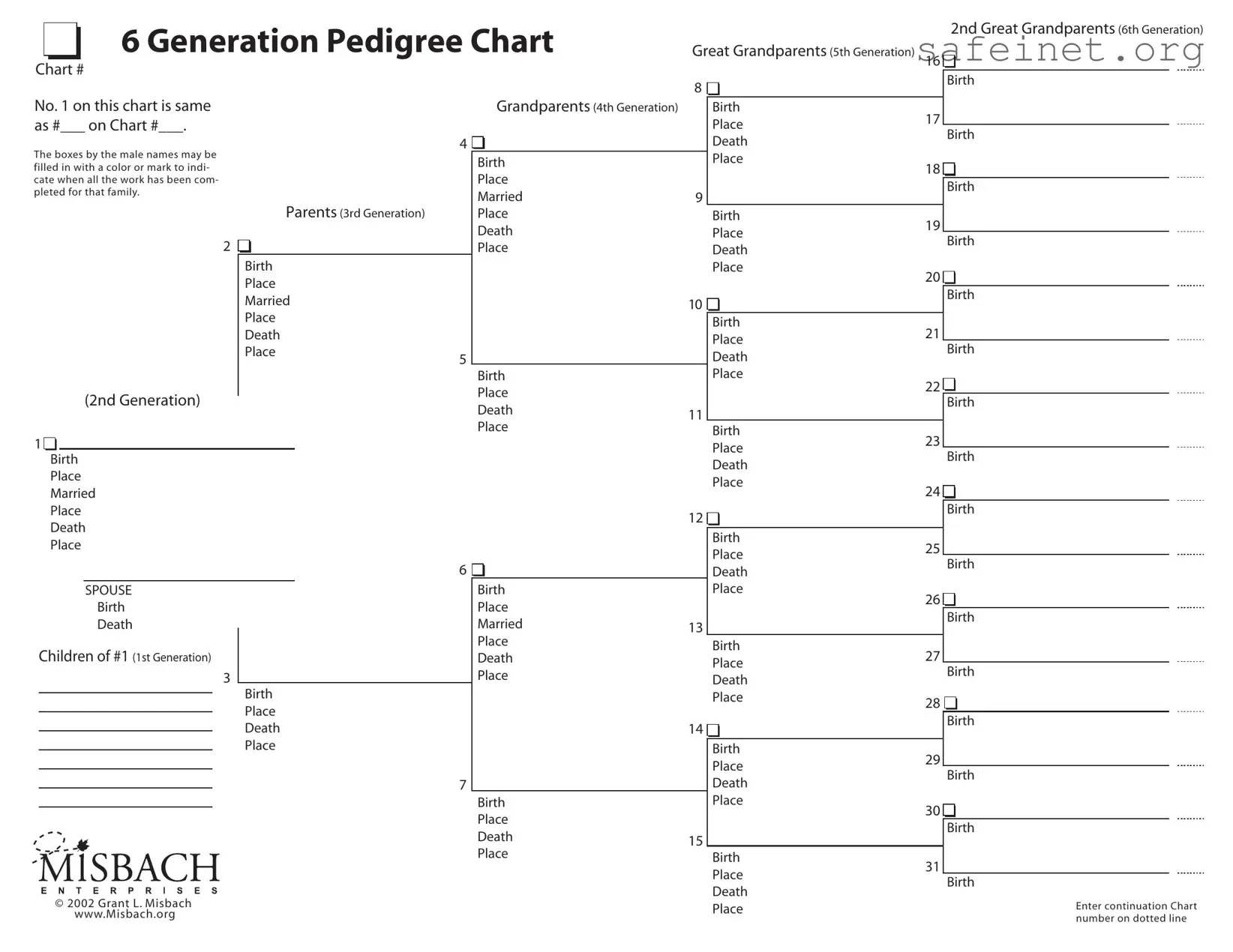 Blank Pedigree Chart Template