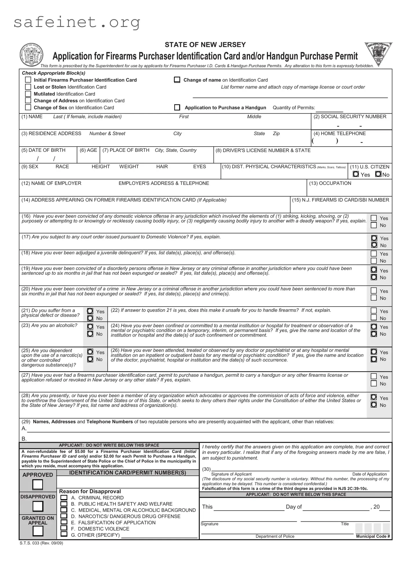 Blank NJSP S.T.S. 033 Template