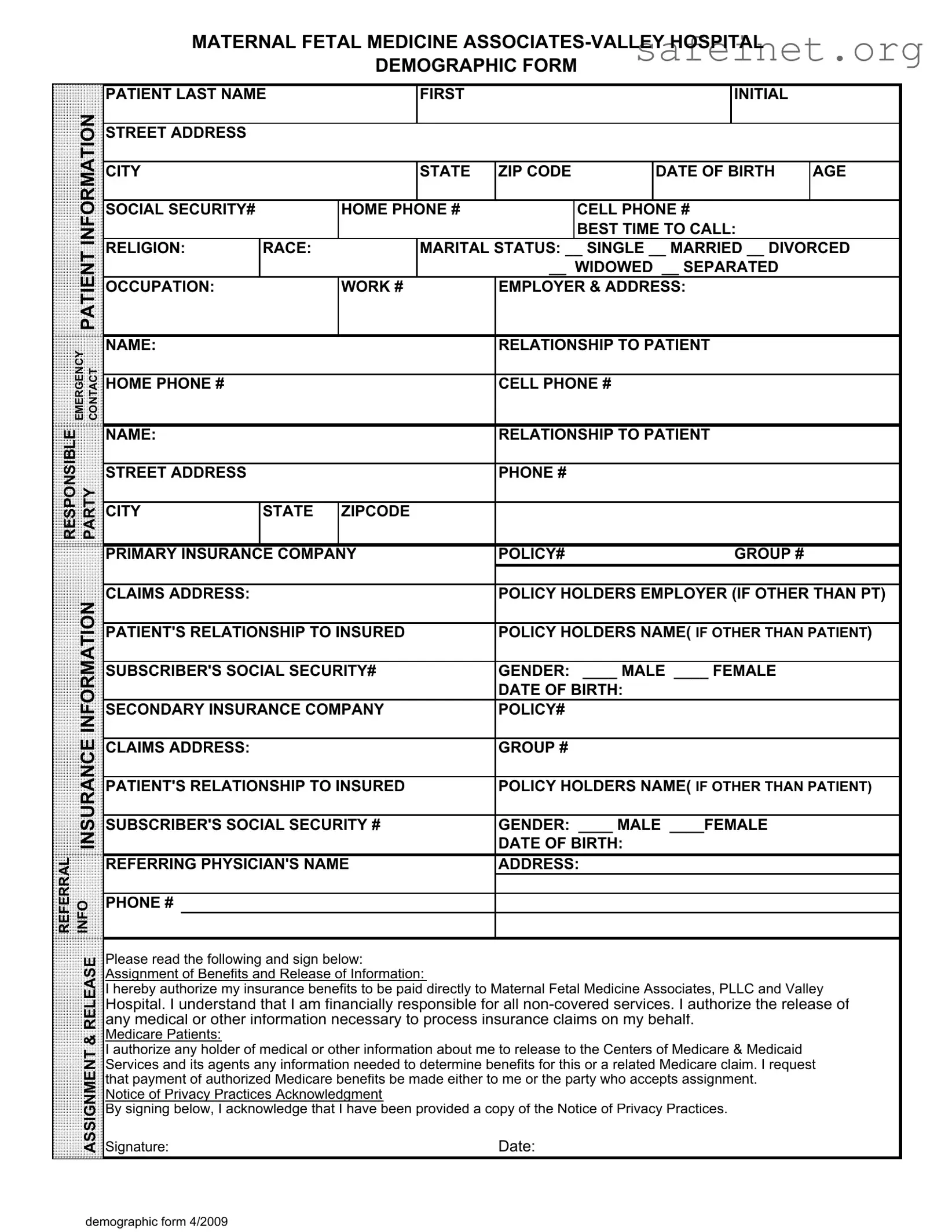 Blank Patient Demographics Template