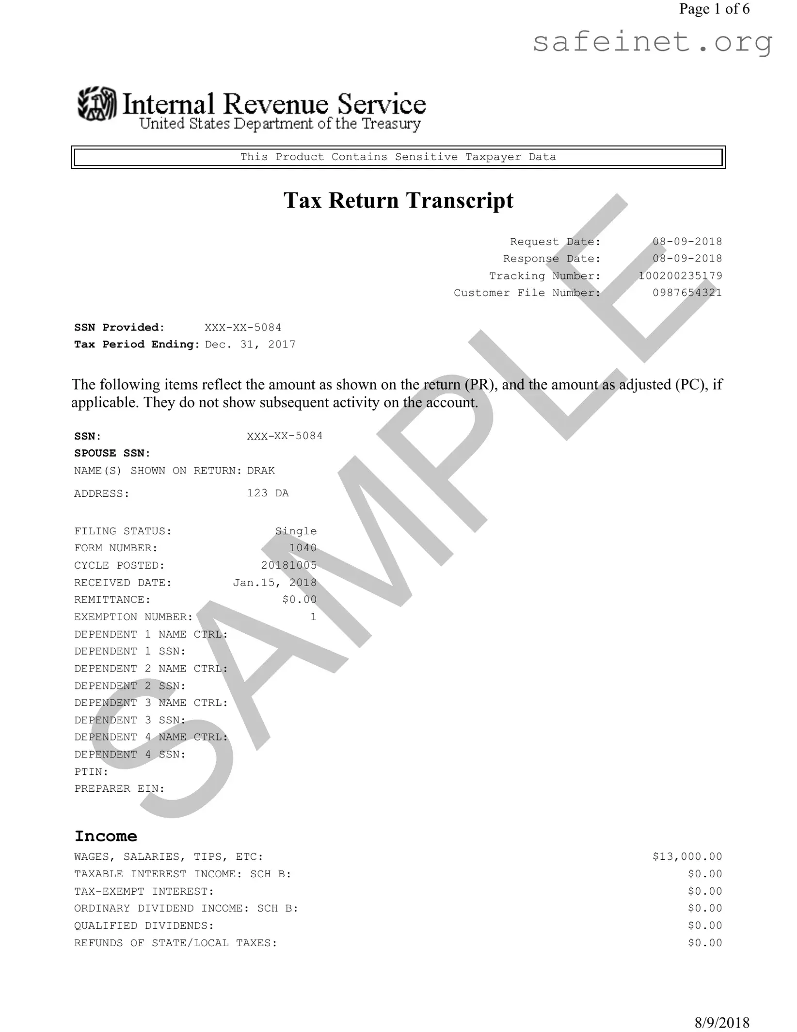 Blank Sample Tax Return Transcript Template