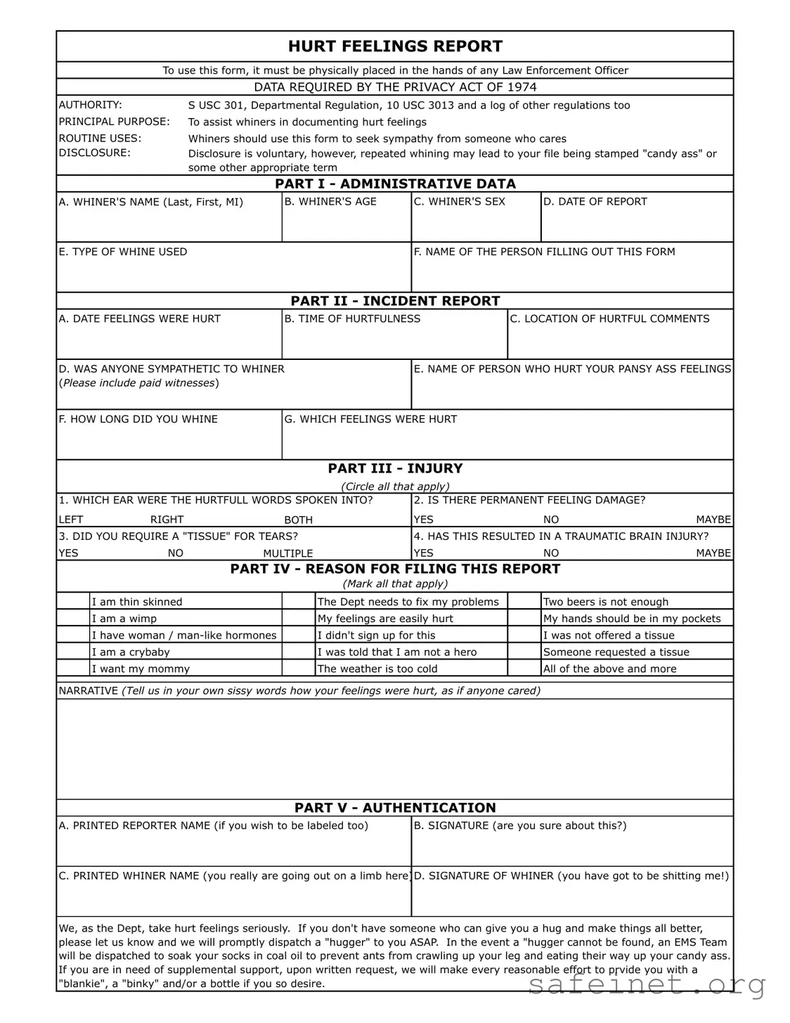 Blank Hurt Feelings Report Template